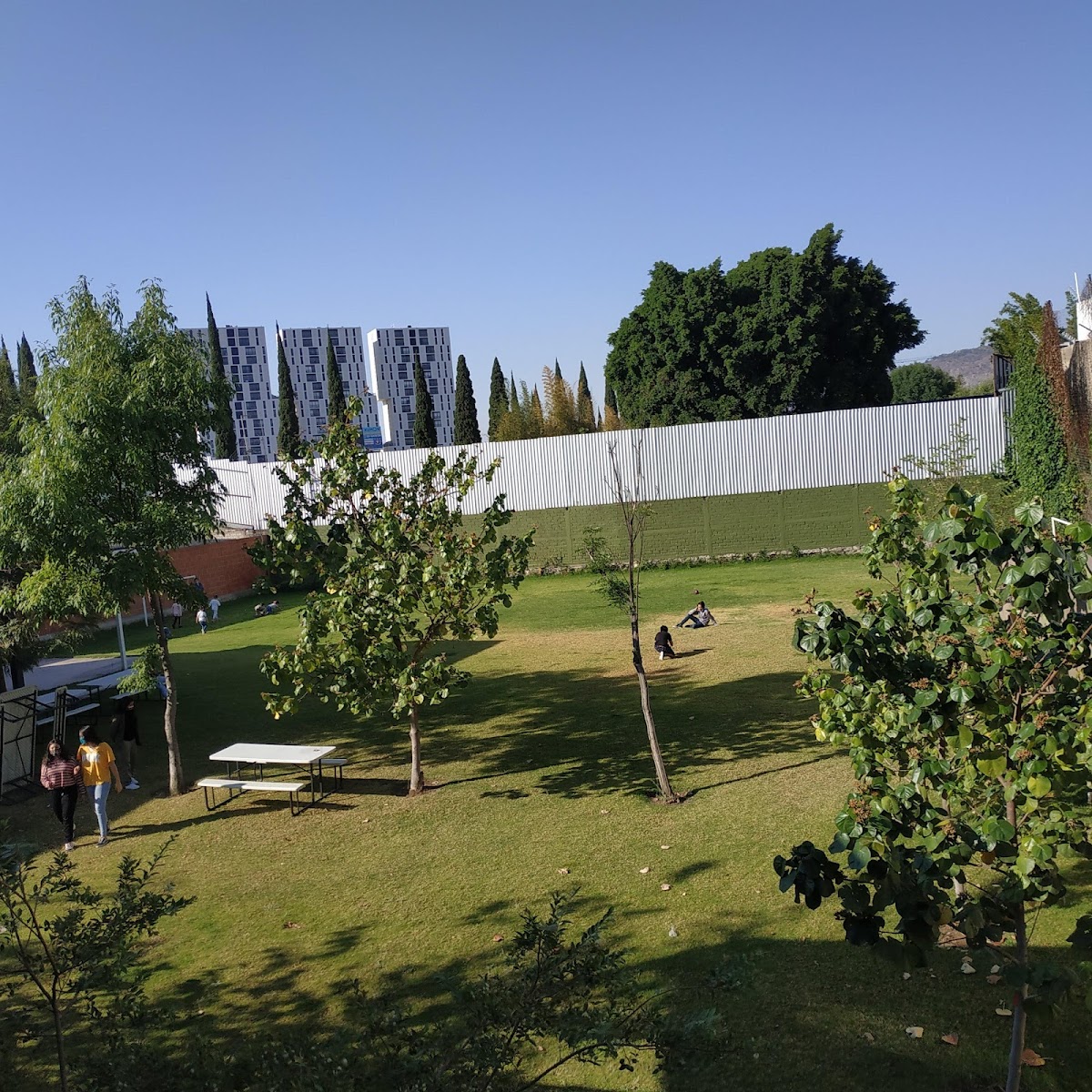 LACROSS Galerias