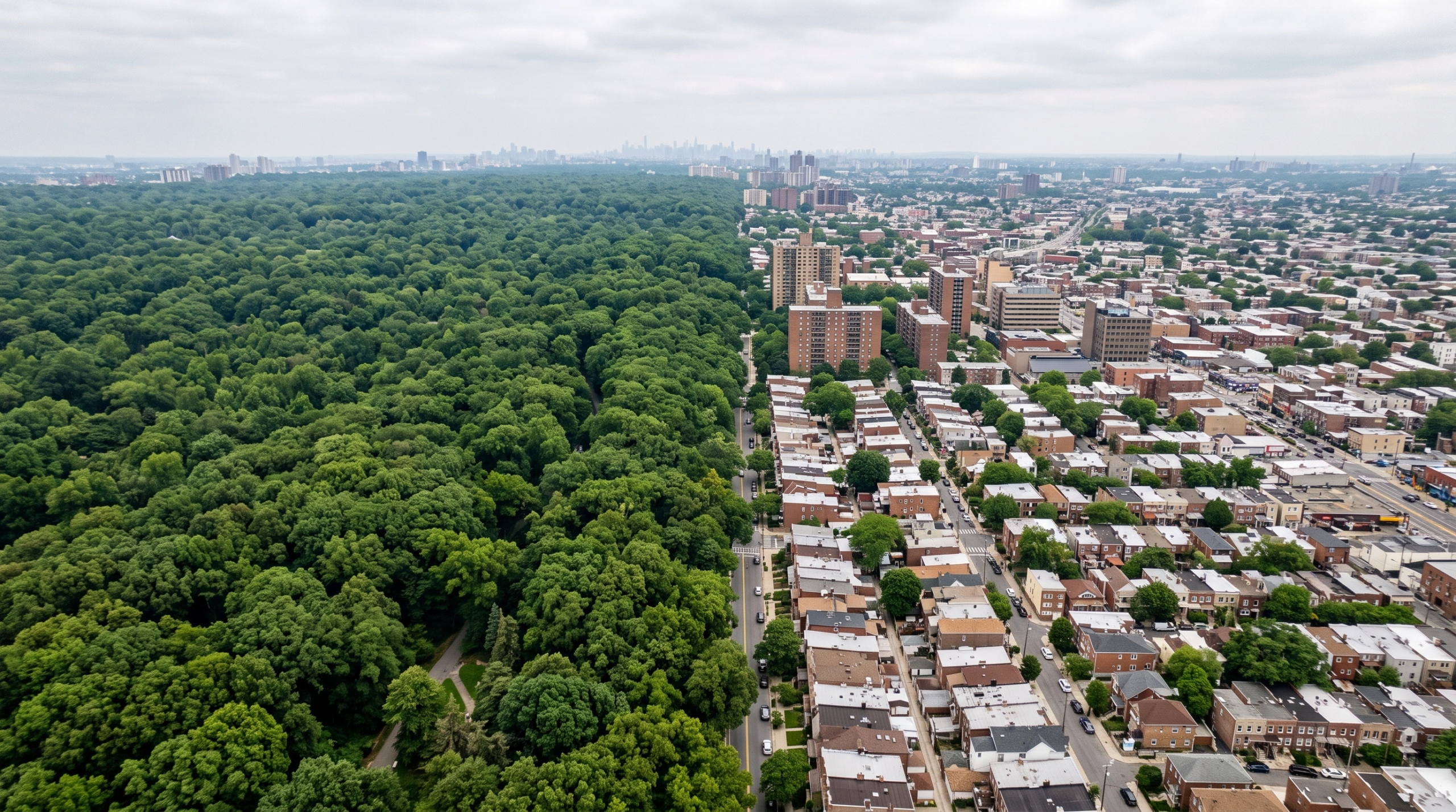 Vista a&eacute;rea que muestra una divisi&oacute;n n&iacute;tida entre un denso dosel de bosque verde y una cuadr&iacute;cula residencial urbana bajo un cielo nublado, integraci&oacute;n sostenible de RBA Residences en Zapopan.